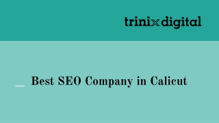 Best SEO Company in Calicut | Trinix Digital
