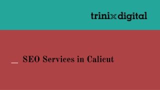 SEO Services in Calicut | Trinix Digital