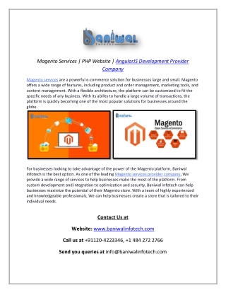 Expert Magento services USA | Baniwal Infotech