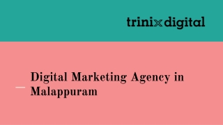 Digital Marketing Agency in Malappuram