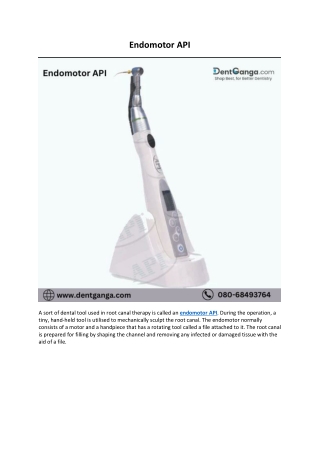 Endomotor API - Dent Ganga - 17th Jan