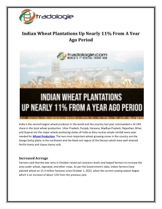 Indian Wheat Plantations Up Nearly 11 From A Year Ago Period - Copy