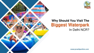 Why Should You Visit The Biggest Waterpark In Delhi Ncr?