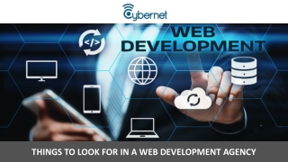 Things to Look for in a Web Development Agency