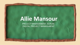 Allie Mansour - An Experienced Project Manager