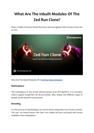 What Are The Inbuilt Modules Of The Zed Run Clone