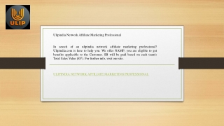 Ulipindia Network Affiliate Marketing Professional   Ulipindia.com