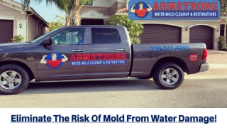 Eliminate The Risk Of Mold From Water Damage