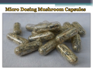 Micro Dosing Mushroom Capsules