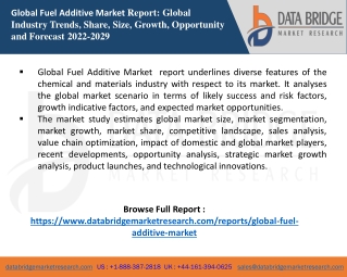 Fuel Additive Market  report