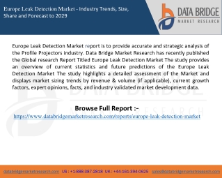 Europe Leak Detection Market