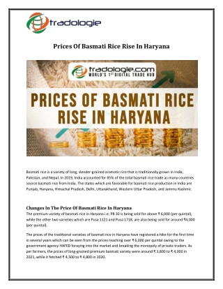 Prices Of Basmati Rice Rise In Haryana