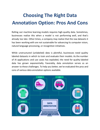Choosing The Right Data Annotation Option, Pros And Cons