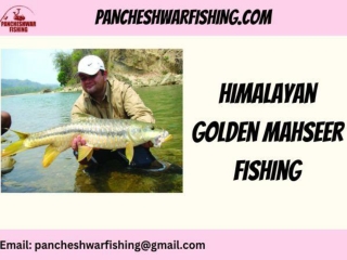 Himalayan Golden Mahseer Fishing