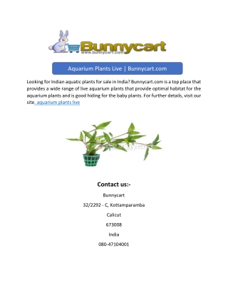 Aquarium Plants Live | Bunnycart.com