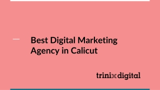 Best Digital Marketing Agency in Calicut