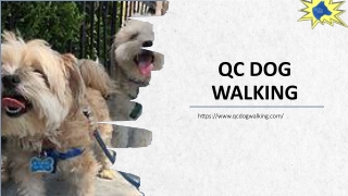 Is Hiring A Dog Walker Necessary 