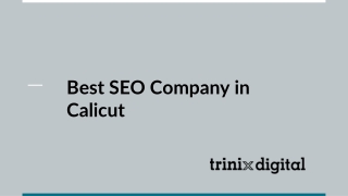 Best SEO Service Company in Calicut