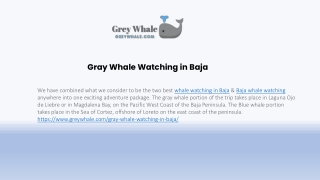 Gray Whale Itinerary