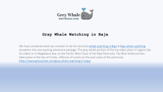 Gray Whale Itinerary