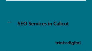 Best SEO Services in Calicut | Trinix Digital