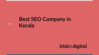Best SEO Company in Kerala - Trinix Digital