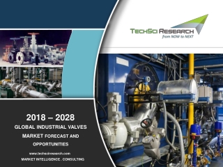 Global Industrial Valves Market_2018-2028F