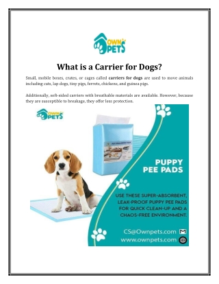 Ownpets Makes The Best Pee Pads for Dogs