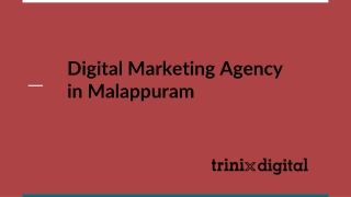Digital Marketing Agency in Malappuram