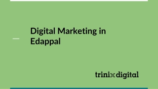 Digital Marketing Agency in Edappal