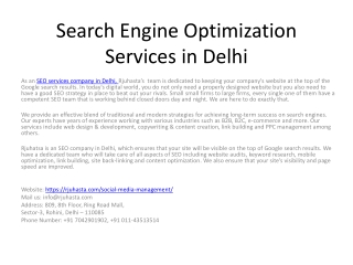 Search Engine Optimization Services in Delhi