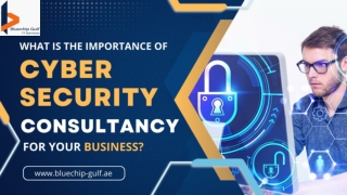 What is the Importance of Cyber Security Consultancy for your Business