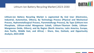 Lithium-Ion Battery Recycling Market Competitive Landscape 2023-2030