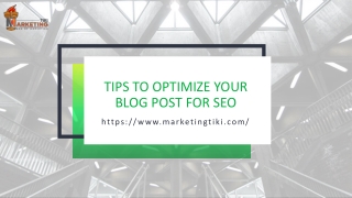 Tips to Optimize Your Blog Post for SEO