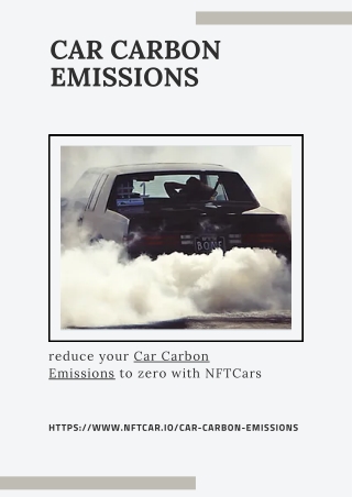 Car Carbon Emissions