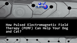 How Pulsed Electromagnetic Field Therapy (PEMF) Can Help Your Dog and Cat?