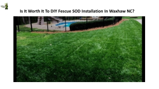 Is It Worth It To DIY Fescue SOD Installation In Waxhaw NC