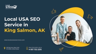 Local USA SEO Service in King Salmon, AK