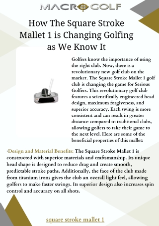 How The Square Stroke Mallet 1 is Changing Golfing as We Know It