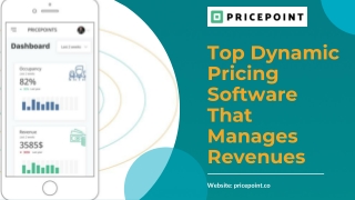 Top Dynamic Pricing Software That Manages Revenues