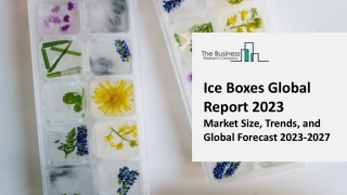 Ice Boxes Market Report 2023 | Insights, Analysis, And Forecast 2032