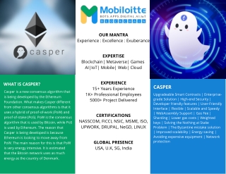 Casper Blockchain Development