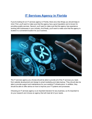IT Services Agency in Florida