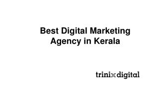 Best Digital Marketing Agency in Kerala