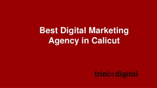 Best Digital Marketing Agency in Calicut