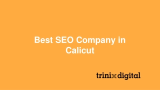 Best SEO Company in Calicut | Trinix Digital