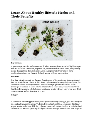 Learn About Healthy lifestyle Herbs and Their Benefits