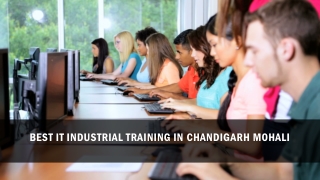 Six Months Industrial Training in Chandigarh Mohali | Wiznox