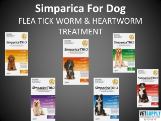 Simparica Trio Flea Tick Worm And Heartworm Protection for dogs | VetSupply