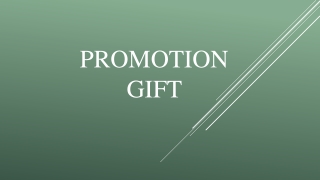 Promotion Gift